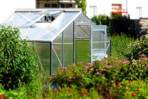 Greenhouse Security Weapons to Protect Your Plant and Harvest from Intruders
