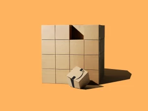 From Zonbase to Amazon Services: What You Need to Know