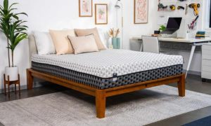 The Science of Sleep: How Foam Mattresses in NZ Enhance Rest and Recovery