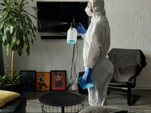 Tips for Keeping Your Home Secure from Pests