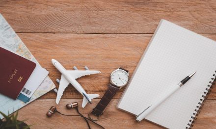 Multi-Trip vs Single-Trip: Which Insurance Option Works Better in Singapore?