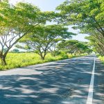 4 Things to Expect When Leasing a Car in Singapore for Long-Term Use