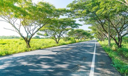4 Things to Expect When Leasing a Car in Singapore for Long-Term Use
