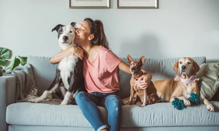 Why A Detailed Video Can Help Your Vet Understand A Pet’s Unusual Episode