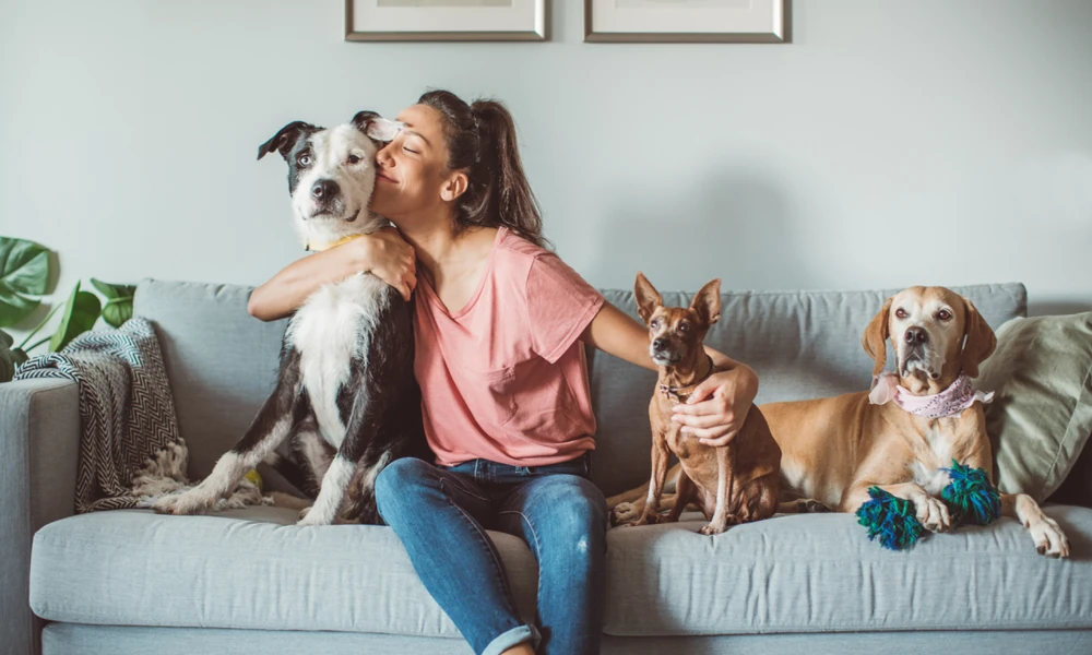 Why A Detailed Video Can Help Your Vet Understand A Pet’s Unusual Episode
